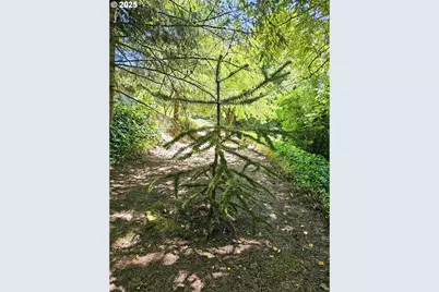 701 NE 117th St, Vancouver, WA 98685 - Photo 31