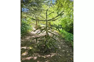 701 NE 117th St, Vancouver, WA 98685 - Photo 31