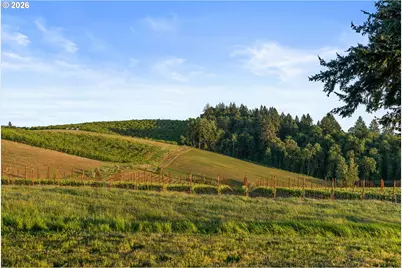 8810 NE Blackburn Rd, Yamhill, OR 97148 - Photo 35