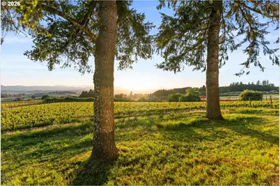 8810 NE Blackburn Rd, Yamhill, OR 97148 - Photo 35