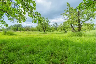 572 Dillard Gardens Rd, Winston, OR 97496 - Photo 19