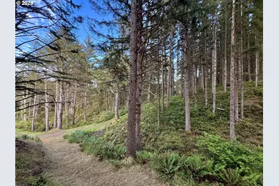 88300 Pacific Surf Ln, Bandon, OR 97411 - Photo 13