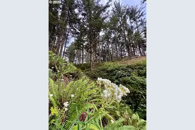 88300 Pacific Surf Ln, Bandon, OR 97411 - Photo 17