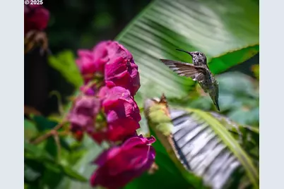 2393 SW Park Pl #113, Portland, OR 97205 - Photo 47