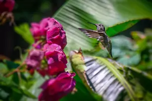 2393 SW Park Pl, Portland, OR 97205 - Photo 47