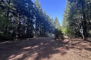 29254 SE Hillyard Dr, Boring, OR 97009 - Photo 3