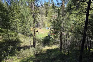 31112 Sparta Ln, Baker City, OR 97814 - Photo 11