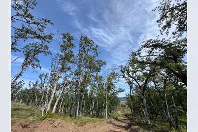 Huskey Rd, Mosier, OR 97040 - Photo 9