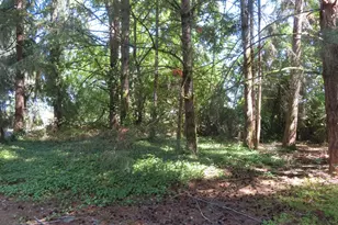 8021 Afflerbaugh Ct SE, Lacey, WA 98503 - Photo 1