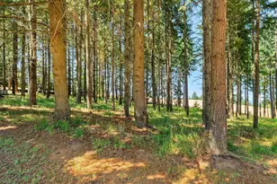 36905 SW Goddard Rd, Cornelius, OR 97113 - Photo 43