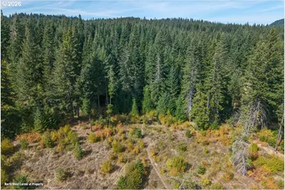 Moore Rd, White Salmon, WA 98672 - Photo 9