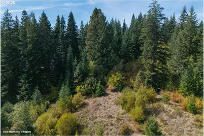 Moore Rd, White Salmon, WA 98672 - Photo 7