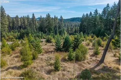 Moore Rd, White Salmon, WA 98672 - Photo 27