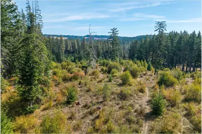 Moore Rd, White Salmon, WA 98672 - Photo 31