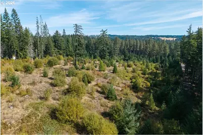 Moore Rd, White Salmon, WA 98672 - Photo 29