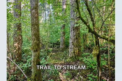 32553 S Dhooghe Rd, Molalla, OR 97038 - Photo 33