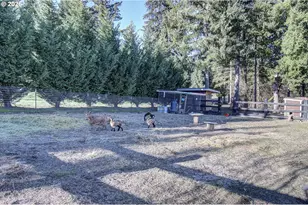 36206 NE Lewisville Hwy, Yacolt, WA 98675 - Photo 11