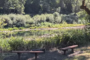 9450 Bullock Rd, Oakland, OR 97462 - Photo 17