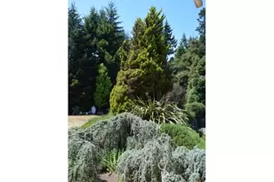 97137 N Bank Rogue River Rd, Gold Beach, OR 97444 - Photo 13