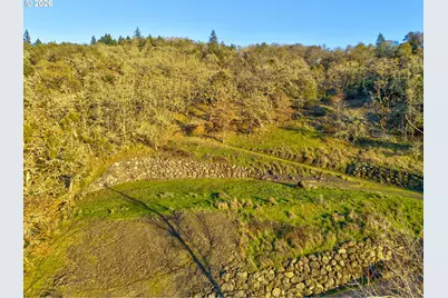 0 Ryan Heights Ln #TL 605, Roseburg, OR 97470 - Photo 3