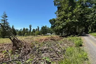 38521 Jasper Lowell Rd, Fall Creek, OR 97438 - Photo 11