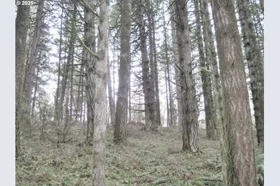 11090 Simpson Rd, Monmouth, OR 97361 - Photo 33