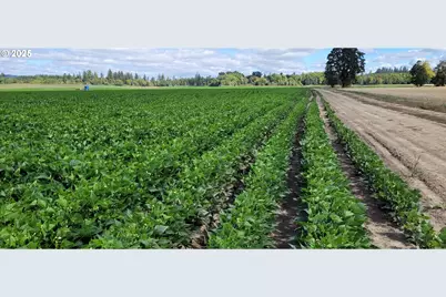 11090 Simpson Rd, Monmouth, OR 97361 - Photo 19