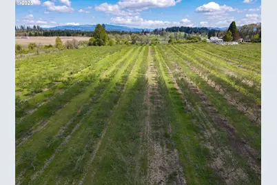 34974 Richardson Gap Rd, Lebanon, OR 97355 - Photo 3