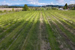 34974 Richardson Gap Rd, Lebanon, OR 97355 - Photo 3