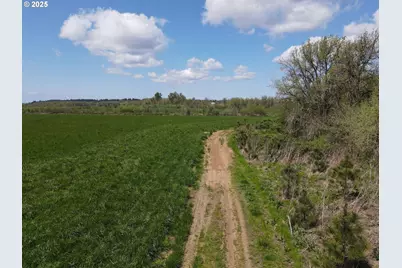 34974 Richardson Gap Rd, Lebanon, OR 97355 - Photo 15