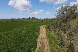 34974 Richardson Gap Rd, Lebanon, OR 97355 - Photo 15