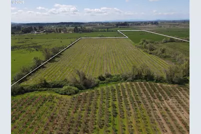 34974 Richardson Gap Rd, Lebanon, OR 97355 - Photo 9