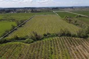 34974 Richardson Gap Rd, Lebanon, OR 97355 - Photo 9