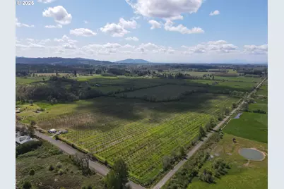 34974 Richardson Gap Rd, Lebanon, OR 97355 - Photo 5