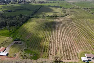 34974 Richardson Gap Rd, Lebanon, OR 97355 - Photo 7