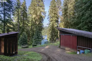 1901 Loon Lake Lot 9 - 10 Rd, Reedsport, OR 97467 - Photo 5
