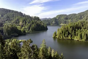 1901 Loon Lake Lot 9 - 10 Rd, Reedsport, OR 97467 - Photo 3