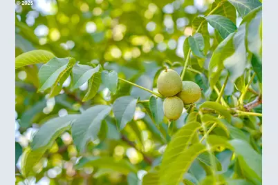 7515 SE Luther Rd, Portland, OR 97206 - Photo 37