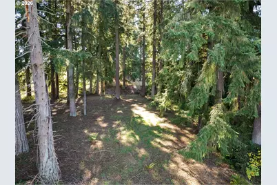 3015 S Parkway Ave, Battle Ground, WA 98604 - Photo 17