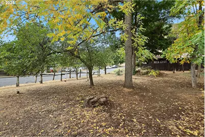 E Franklin St, Bingen, WA 98605 - Photo 1