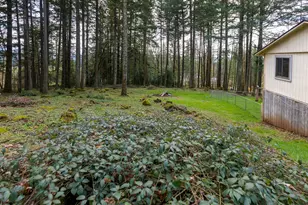 30744 NE 10th St, Washougal, WA 98671 - Photo 31