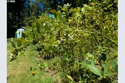 30744 NE 10th St, Washougal, WA 98671 - Photo 41