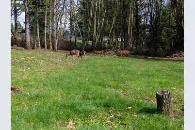 30744 NE 10th St, Washougal, WA 98671 - Photo 29