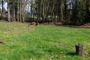 30744 NE 10th St, Washougal, WA 98671 - Photo 29