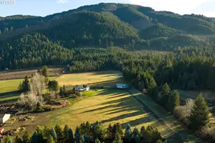 6485 Hwy 35, Mt Hood Prkdl, OR 97041 - Photo 47