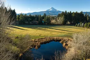 6485 Hwy 35, Mount Hood Prkdl, OR 97041 - Photo 41