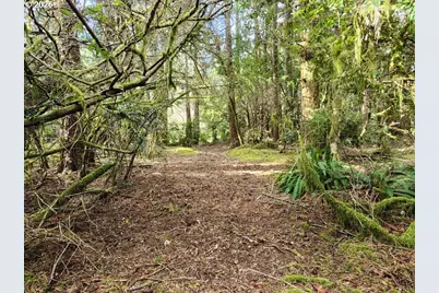 42585 Arizona St, Port Orford, OR 97465 - Photo 33
