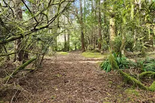 42585 Arizona St, Port Orford, OR 97465 - Photo 33