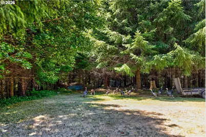 98654 Culbertson Ln, Coquille, OR 97423 - Photo 27