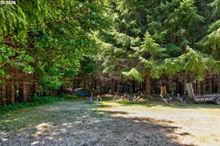 98654 Culbertson Ln, Coquille, OR 97423 - Photo 27
